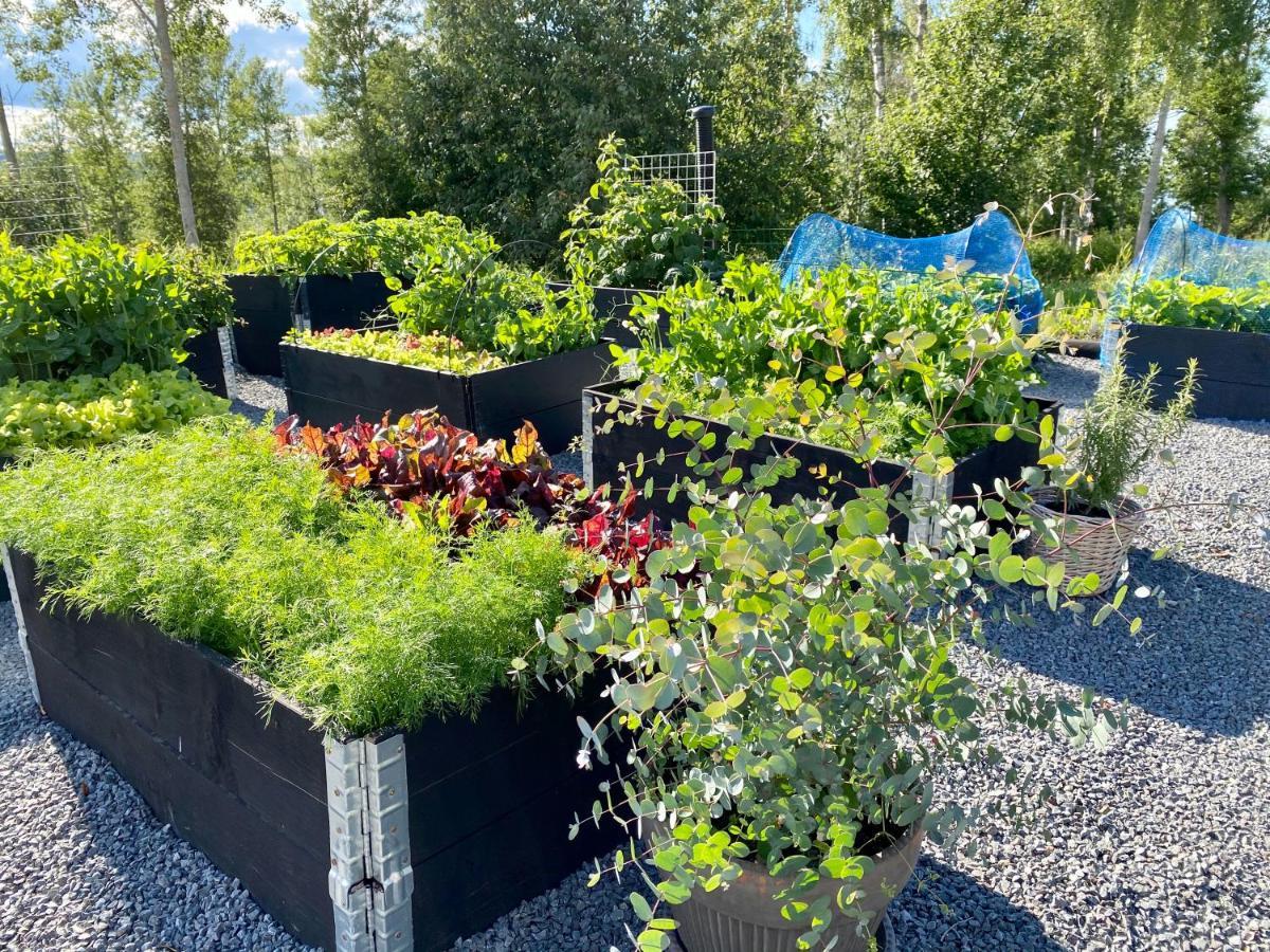 Soerbygarden Bed & Breakfast Brunflo Eksteriør billede